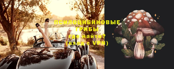 герыч Алзамай