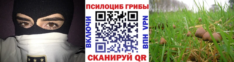 Псилоцибиновые грибы мицелий  Мантурово 